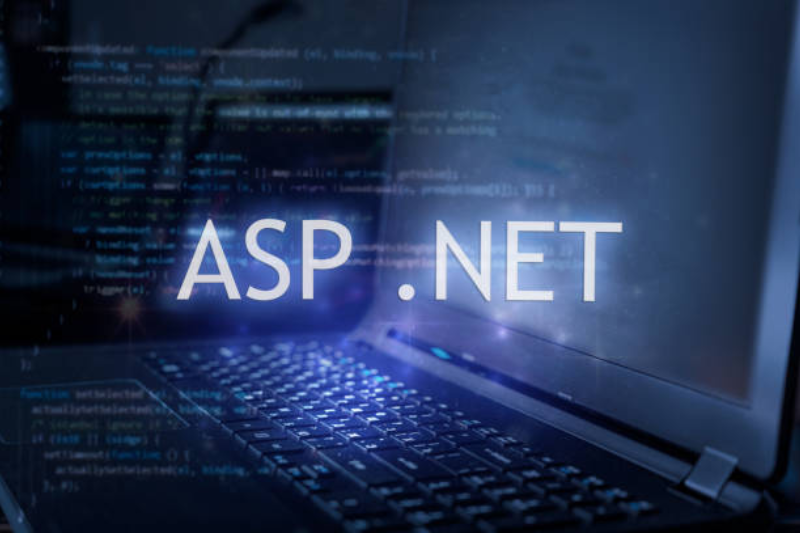 developing asp.net imagen